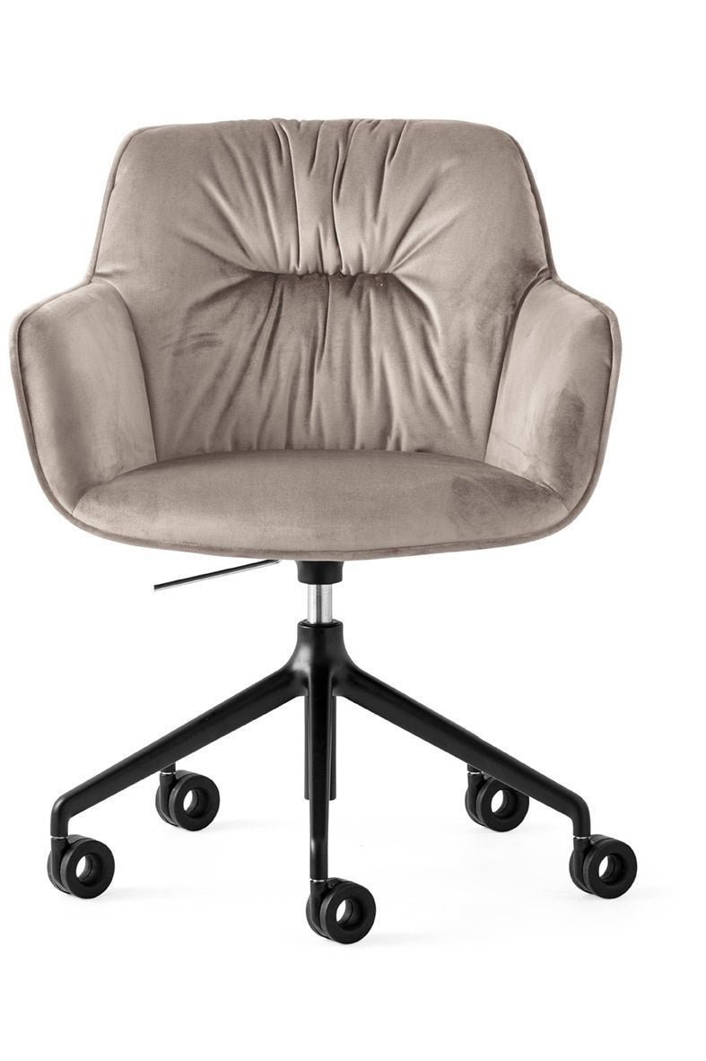 Cocoon CS2086