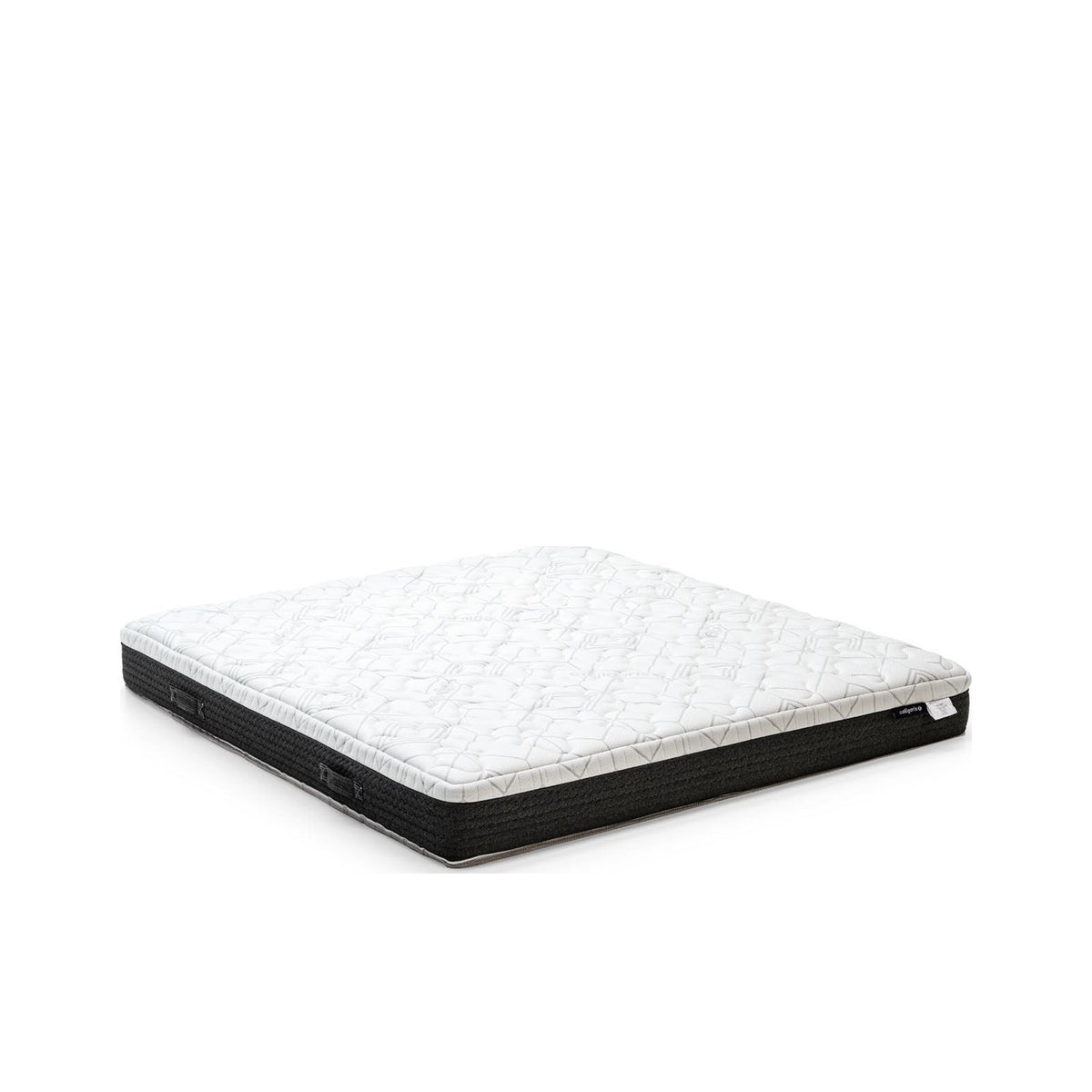 Dam Mattress - official studio photo
