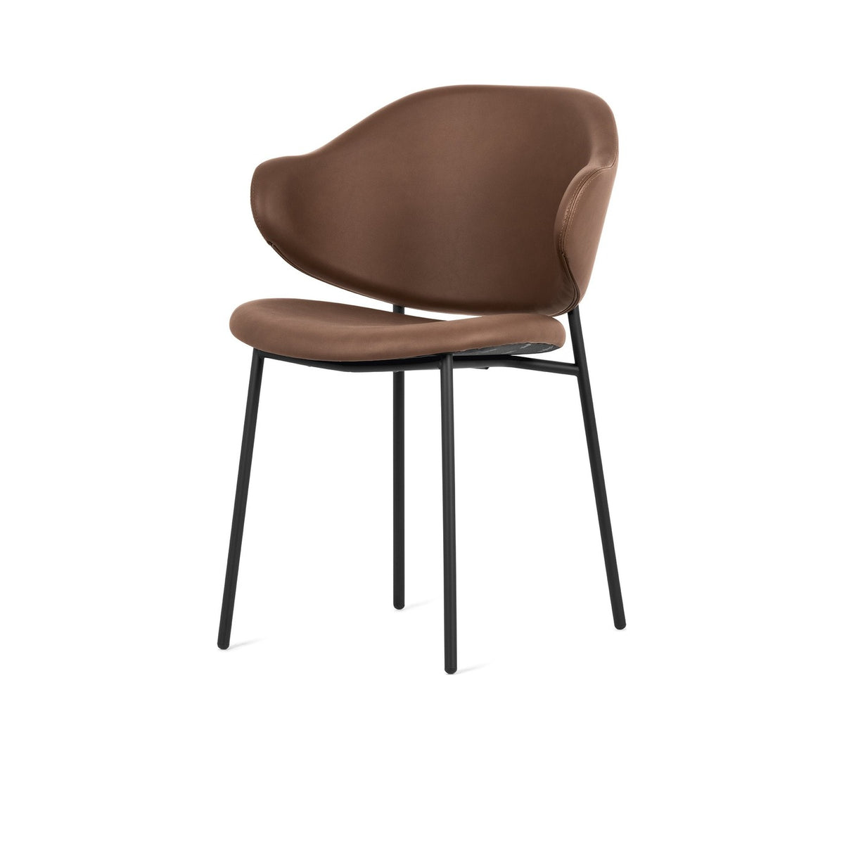 Holly CS2037 - official studio photo