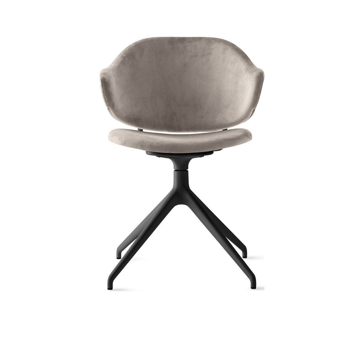 Holly CS2056 180 - official studio photo