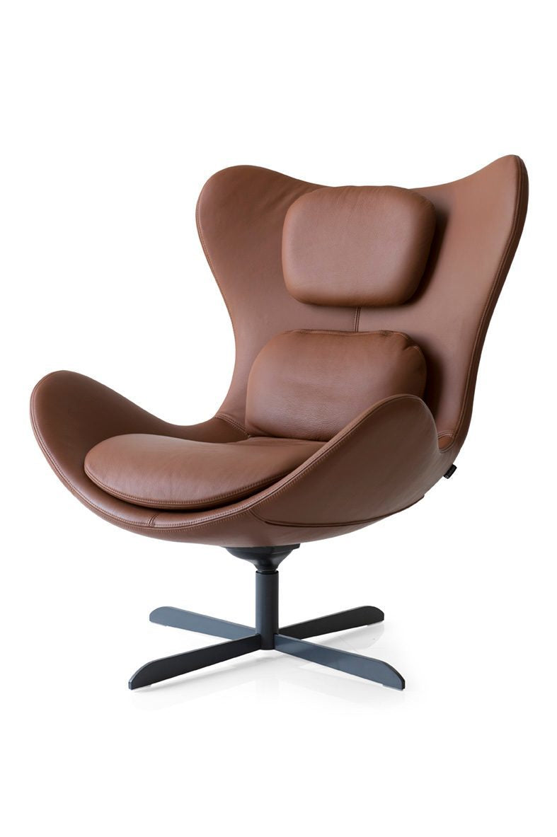 Lazy CS3373-C 1310 — 2
