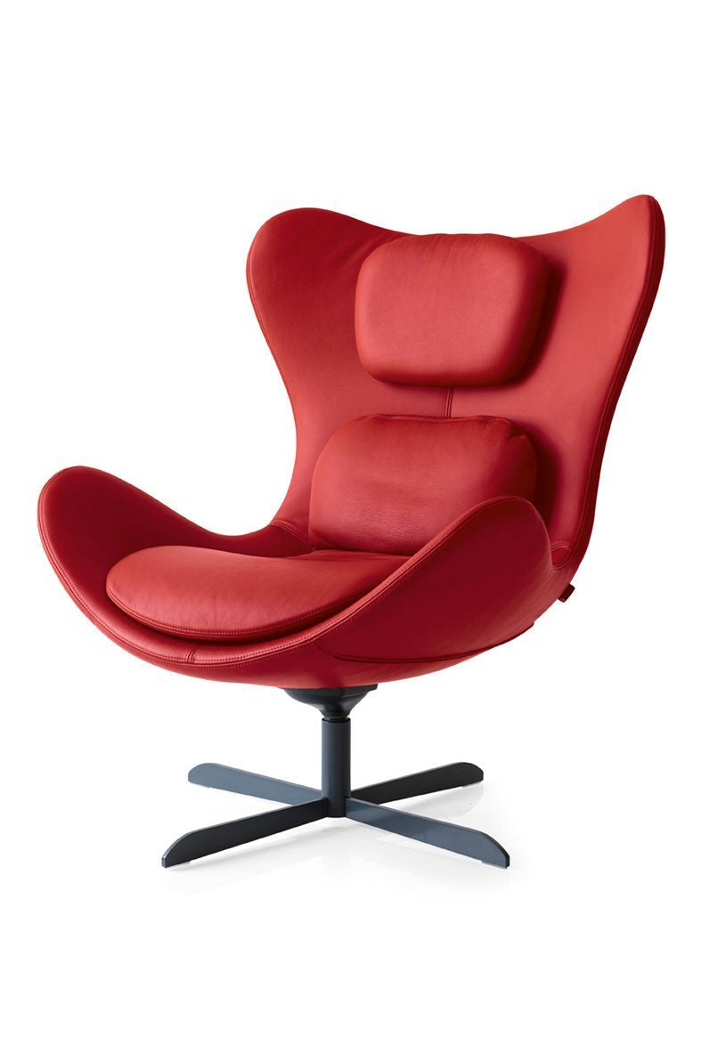 Lazy CS3373-C 1310 — 4