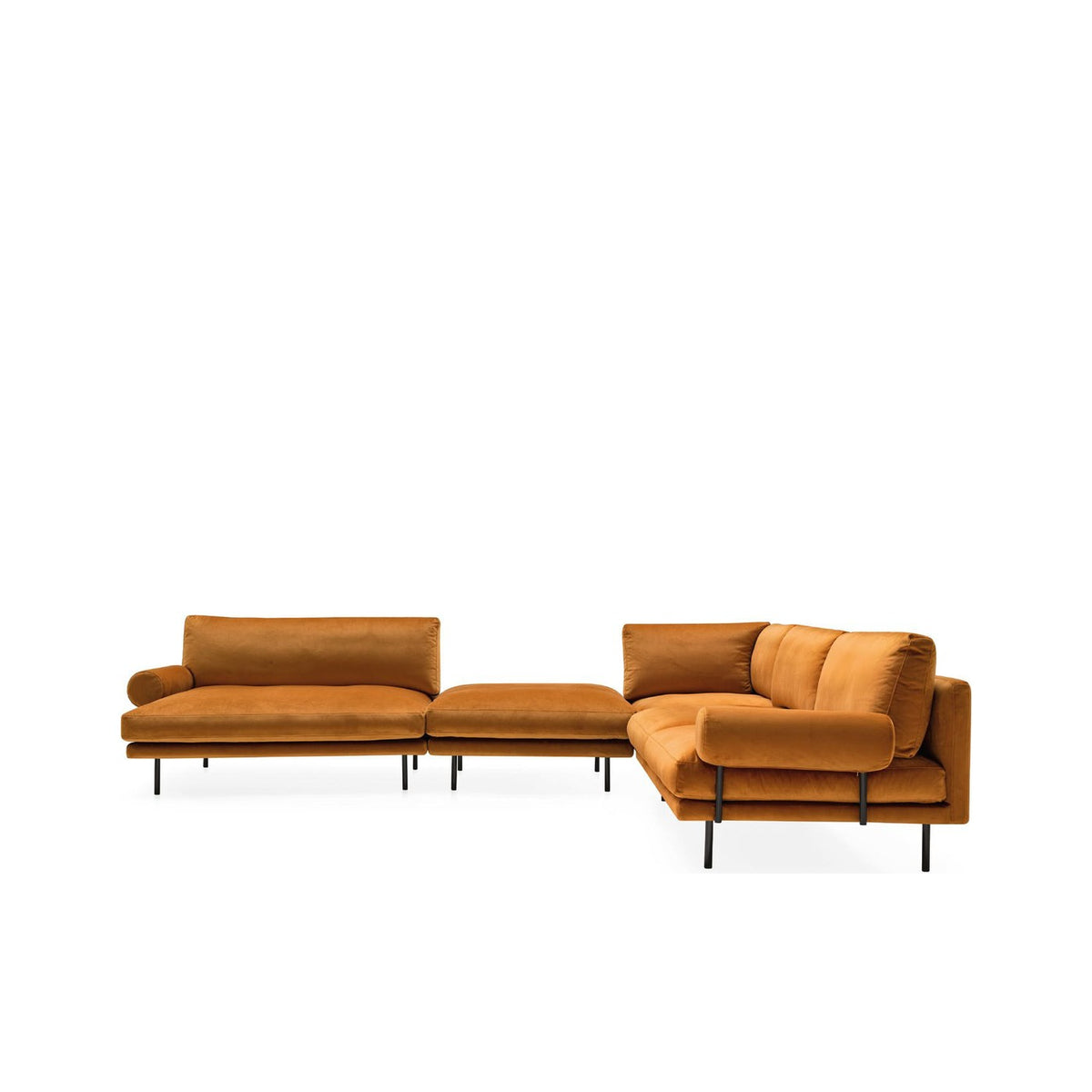 Mies roll - official studio photo